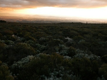 North Etiwanda Preserve