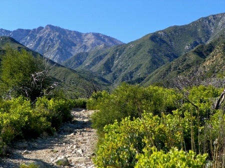 North Etiwanda Preserve